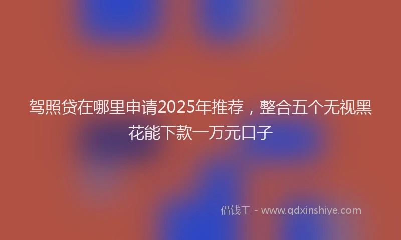 驾照贷在哪里申请2025年推荐，整合五个无视黑花能下款一万元口子