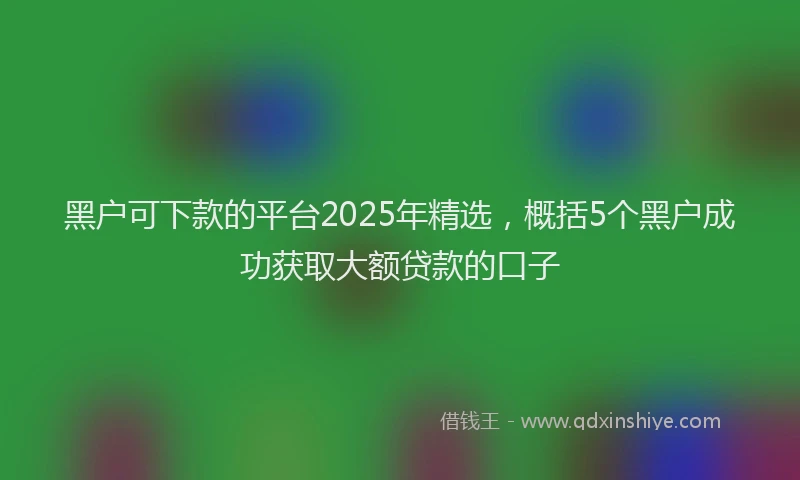 黑户可下款的平台2025年精选，概括5个黑户成功获取大额贷款的口子