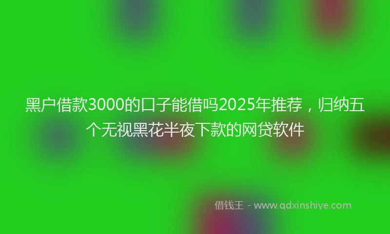 黑户借款3000的口子能借吗2025年推荐，归纳五个无视黑花半夜下款的网贷软件