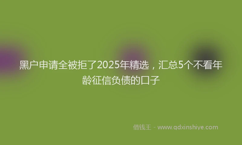 黑户申请全被拒了2025年精选，汇总5个不看年龄征信负债的口子