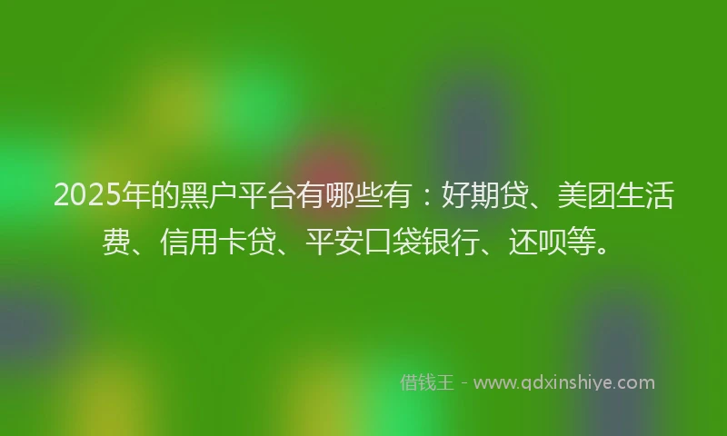 2025年的黑户平台有哪些有：好期贷、美团生活费、信用卡贷、平安口袋银行、还呗等。