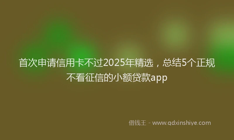 首次申请信用卡不过2025年精选，总结5个正规不看征信的小额贷款app