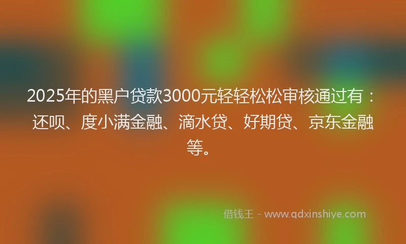 2025年的黑户贷款3000元轻轻松松审核通过有：还呗、度小满金融、滴水贷、好期贷、京东金融等。