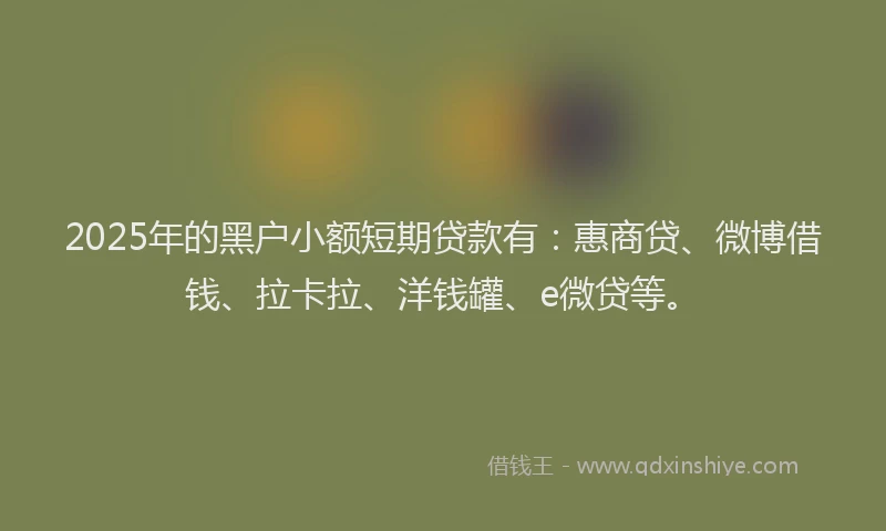2025年的黑户小额短期贷款有：惠商贷、微博借钱、拉卡拉、洋钱罐、e微贷等。