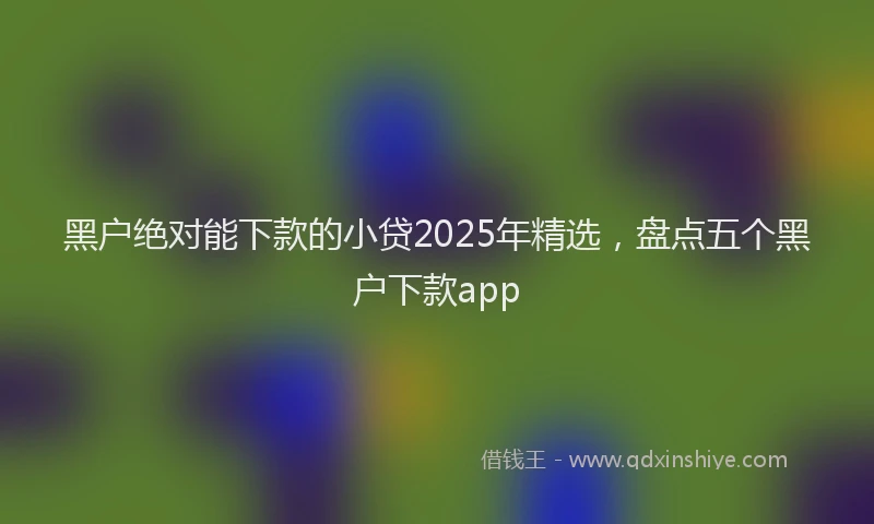 黑户绝对能下款的小贷2025年精选，盘点五个黑户下款app