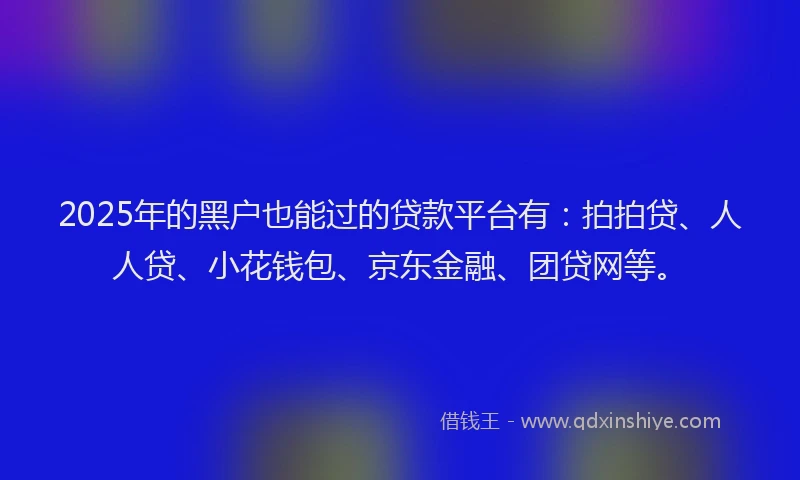 2025年的黑户也能过的贷款平台有：拍拍贷、人人贷、小花钱包、京东金融、团贷网等。