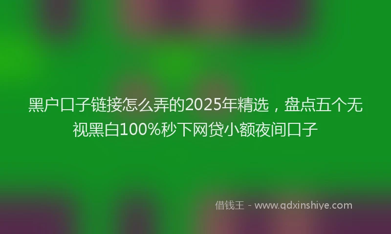 黑户口子链接怎么弄的2025年精选，盘点五个无视黑白100%秒下网贷小额夜间口子