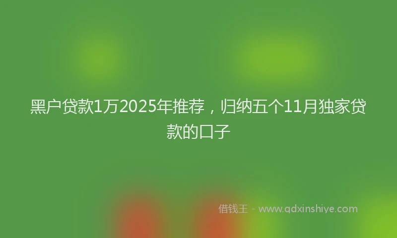 黑户贷款1万2025年推荐，归纳五个11月独家贷款的口子