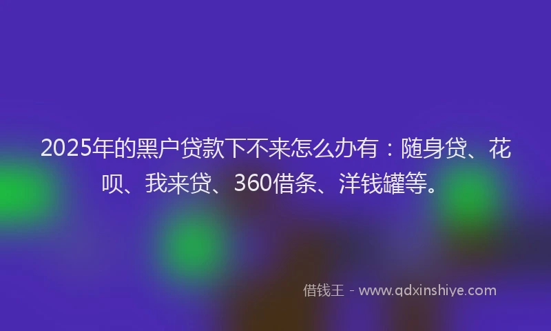 2025年的黑户贷款下不来怎么办有：随身贷、花呗、我来贷、360借条、洋钱罐等。