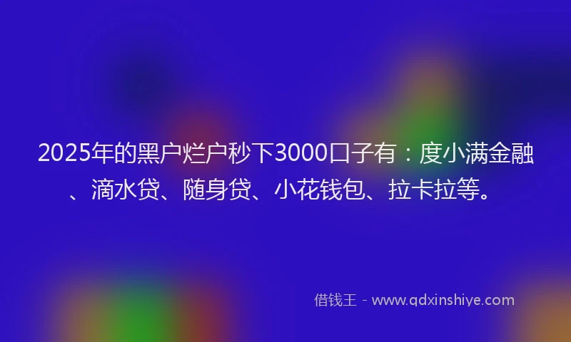 2025年的黑户烂户秒下3000口子有：度小满金融、滴水贷、随身贷、小花钱包、拉卡拉等。