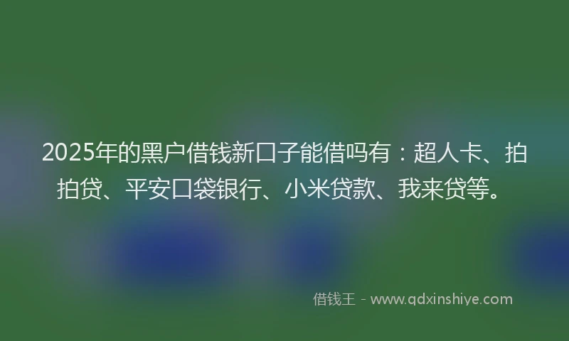 2025年的黑户借钱新口子能借吗有：超人卡、拍拍贷、平安口袋银行、小米贷款、我来贷等。
