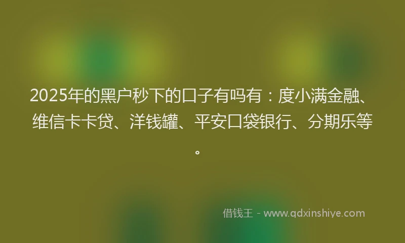 2025年的黑户秒下的口子有吗有：度小满金融、维信卡卡贷、洋钱罐、平安口袋银行、分期乐等。