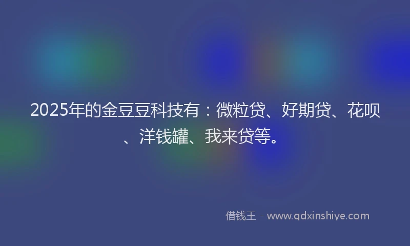 2025年的金豆豆科技有：微粒贷、好期贷、花呗、洋钱罐、我来贷等。