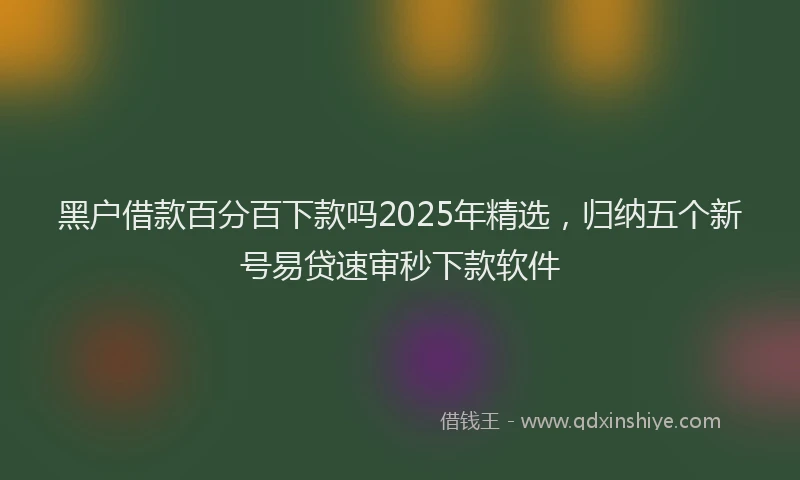 黑户借款百分百下款吗2025年精选，归纳五个新号易贷速审秒下款软件