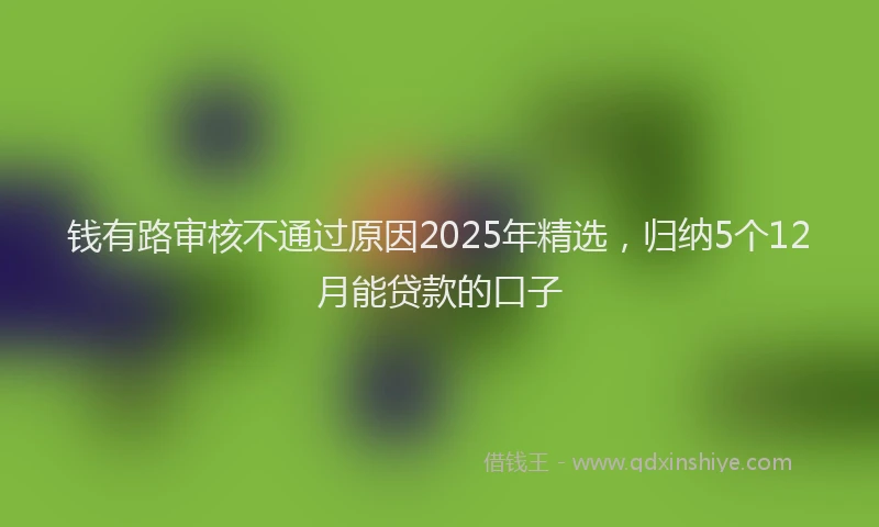 钱有路审核不通过原因2025年精选，归纳5个12月能贷款的口子