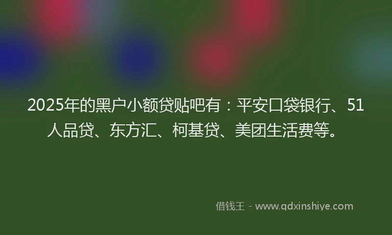 2025年的黑户小额贷贴吧有：平安口袋银行、51人品贷、东方汇、柯基贷、美团生活费等。
