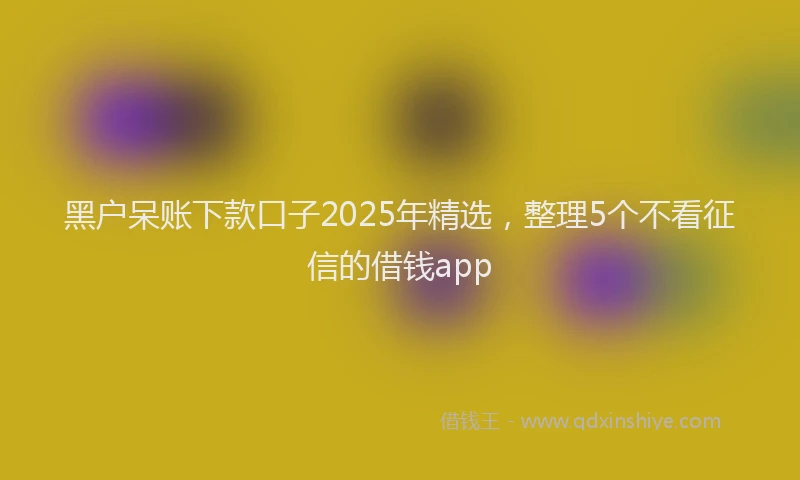 黑户呆账下款口子2025年精选，整理5个不看征信的借钱app