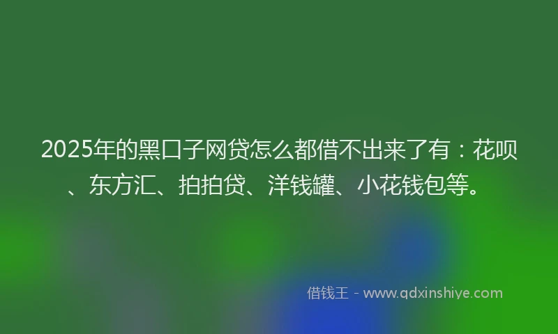 2025年的黑口子网贷怎么都借不出来了有：花呗、东方汇、拍拍贷、洋钱罐、小花钱包等。