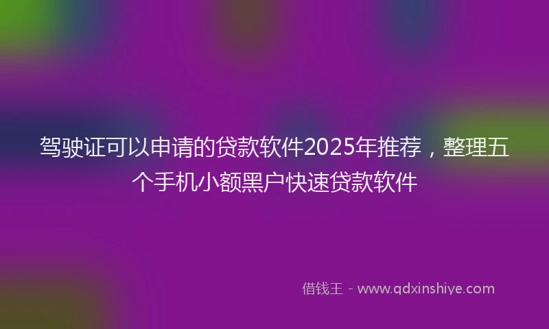 驾驶证可以申请的贷款软件2025年推荐，整理五个手机小额黑户快速贷款软件