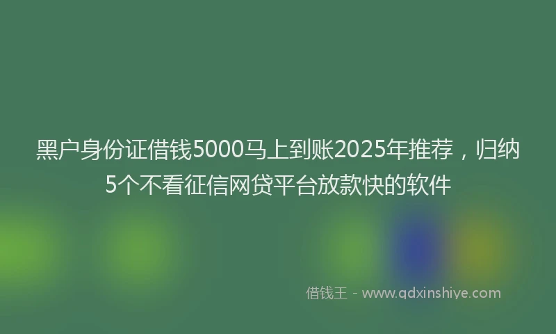 黑户身份证借钱5000马上到账2025年推荐，归纳5个不看征信网贷平台放款快的软件