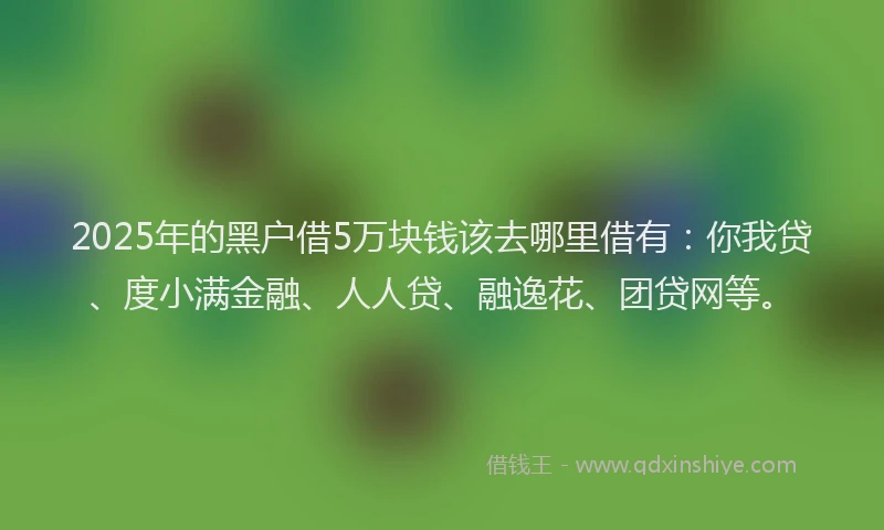 2025年的黑户借5万块钱该去哪里借有：你我贷、度小满金融、人人贷、融逸花、团贷网等。