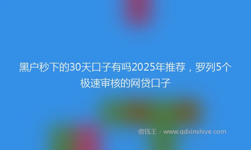 黑户秒下的30天口子有吗2025年推荐，罗列5个极速审核的网贷口子