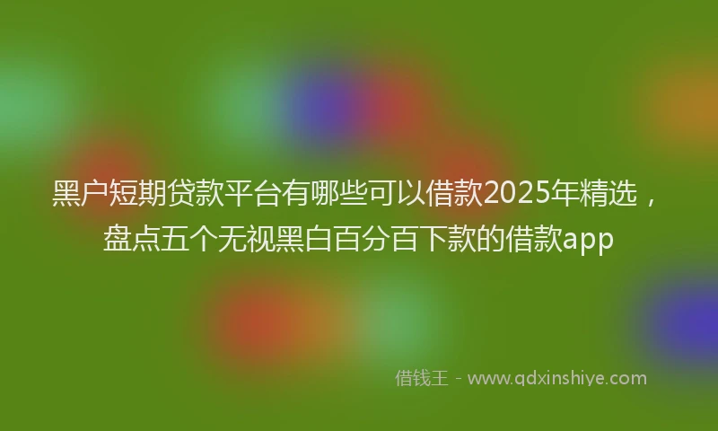 黑户短期贷款平台有哪些可以借款2025年精选，盘点五个无视黑白百分百下款的借款app