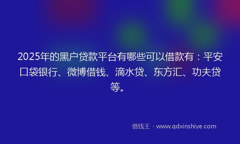 2025年的黑户贷款平台有哪些可以借款有：平安口袋银行、微博借钱、滴水贷、东方汇、功夫贷等。