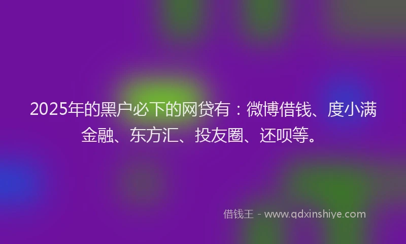 2025年的黑户必下的网贷有：微博借钱、度小满金融、东方汇、投友圈、还呗等。