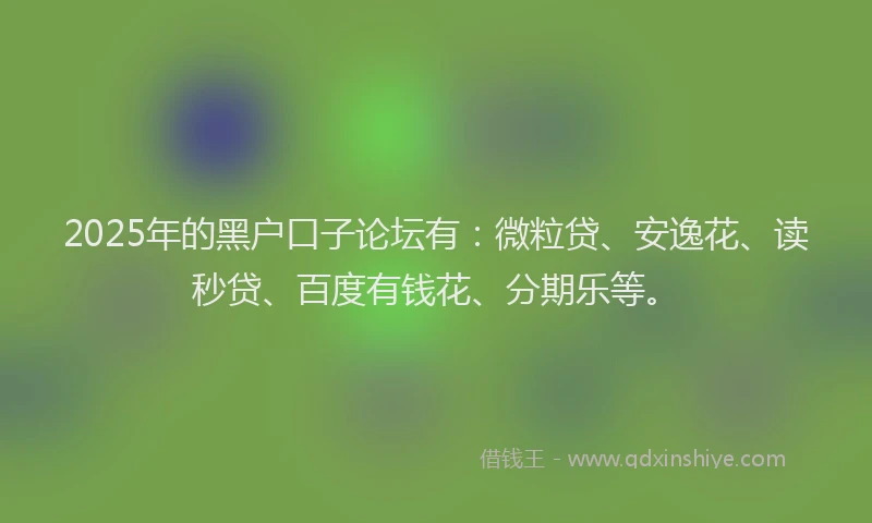 2025年的黑户口子论坛有：微粒贷、安逸花、读秒贷、百度有钱花、分期乐等。