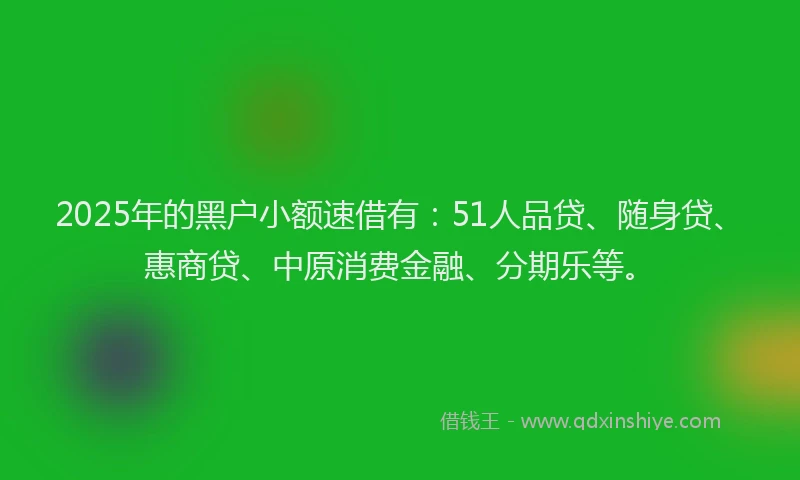 2025年的黑户小额速借有：51人品贷、随身贷、惠商贷、中原消费金融、分期乐等。