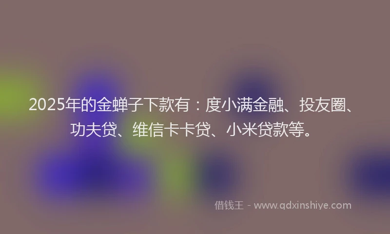 2025年的金蝉子下款有：度小满金融、投友圈、功夫贷、维信卡卡贷、小米贷款等。