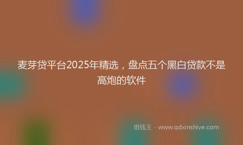 麦芽贷平台2025年精选，盘点五个黑白贷款不是高炮的软件