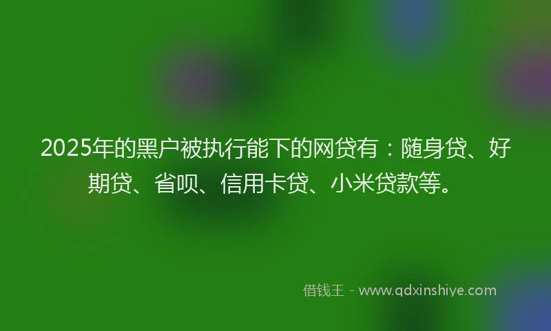 2025年的黑户被执行能下的网贷有：随身贷、好期贷、省呗、信用卡贷、小米贷款等。