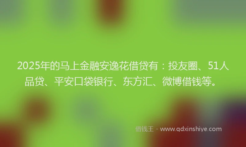 2025年的马上金融安逸花借贷有：投友圈、51人品贷、平安口袋银行、东方汇、微博借钱等。