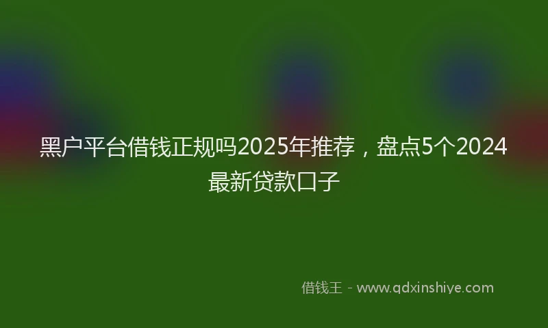 黑户平台借钱正规吗2025年推荐，盘点5个2024最新贷款口子