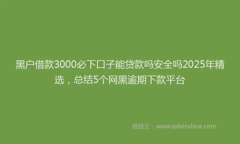 黑户借款3000必下口子能贷款吗安全吗2025年精选，总结5个网黑逾期下款平台