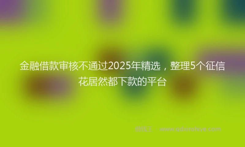 金融借款审核不通过2025年精选，整理5个征信花居然都下款的平台
