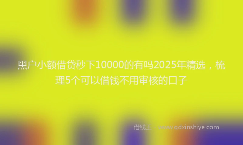 黑户小额借贷秒下10000的有吗2025年精选，梳理5个可以借钱不用审核的口子