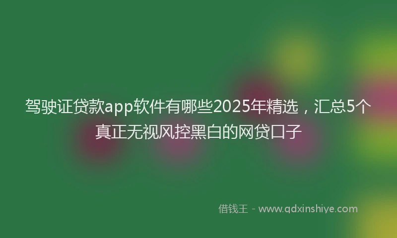 驾驶证贷款app软件有哪些2025年精选，汇总5个真正无视风控黑白的网贷口子