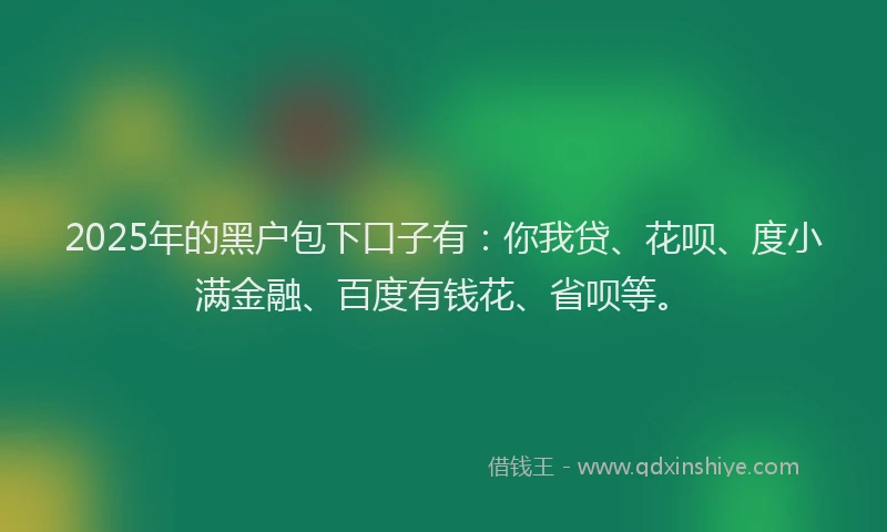 2025年的黑户包下口子有：你我贷、花呗、度小满金融、百度有钱花、省呗等。