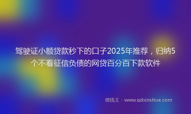 驾驶证小额贷款秒下的口子2025年推荐，归纳5个不看征信负债的网贷百分百下款软件