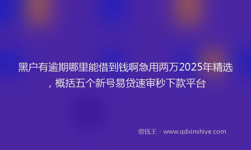 黑户有逾期哪里能借到钱啊急用两万2025年精选，概括五个新号易贷速审秒下款平台