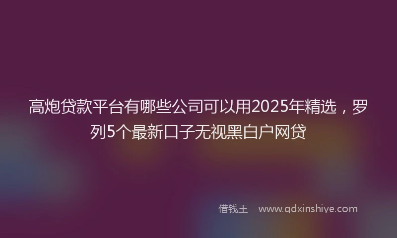 高炮贷款平台有哪些公司可以用2025年精选，罗列5个最新口子无视黑白户网贷