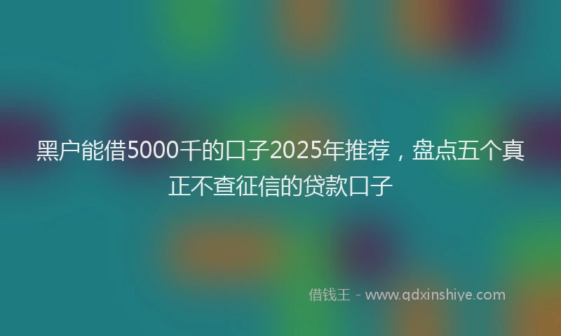 黑户能借5000千的口子2025年推荐，盘点五个真正不查征信的贷款口子