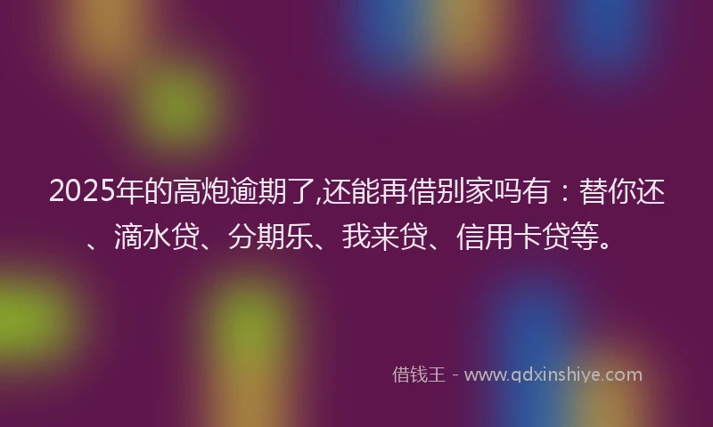 2025年的高炮逾期了,还能再借别家吗有：替你还、滴水贷、分期乐、我来贷、信用卡贷等。