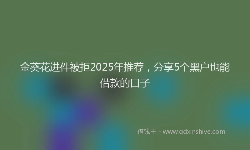 金葵花进件被拒2025年推荐，分享5个黑户也能借款的口子