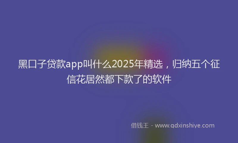 黑口子贷款app叫什么2025年精选，归纳五个征信花居然都下款了的软件
