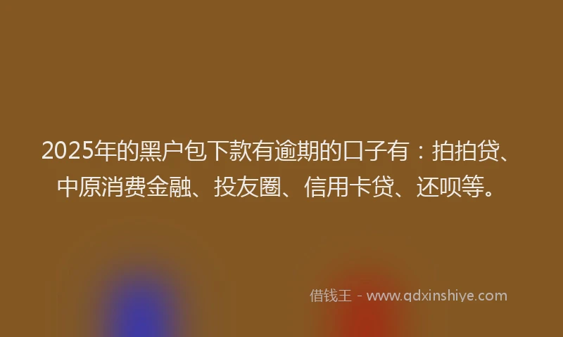 2025年的黑户包下款有逾期的口子有：拍拍贷、中原消费金融、投友圈、信用卡贷、还呗等。