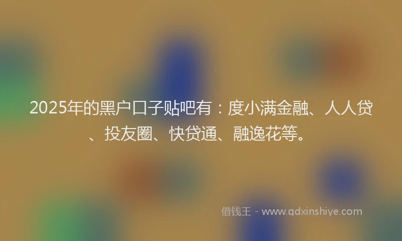 2025年的黑户口子贴吧有：度小满金融、人人贷、投友圈、快贷通、融逸花等。